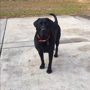 Meet your Posher, Asashley